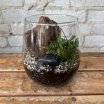 Small Glass Terrarium: Jungle