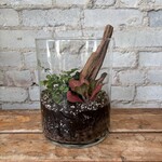 Medium Glass Terrarium: Jungle