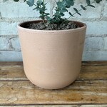 La Natura (fits 6") Rosso