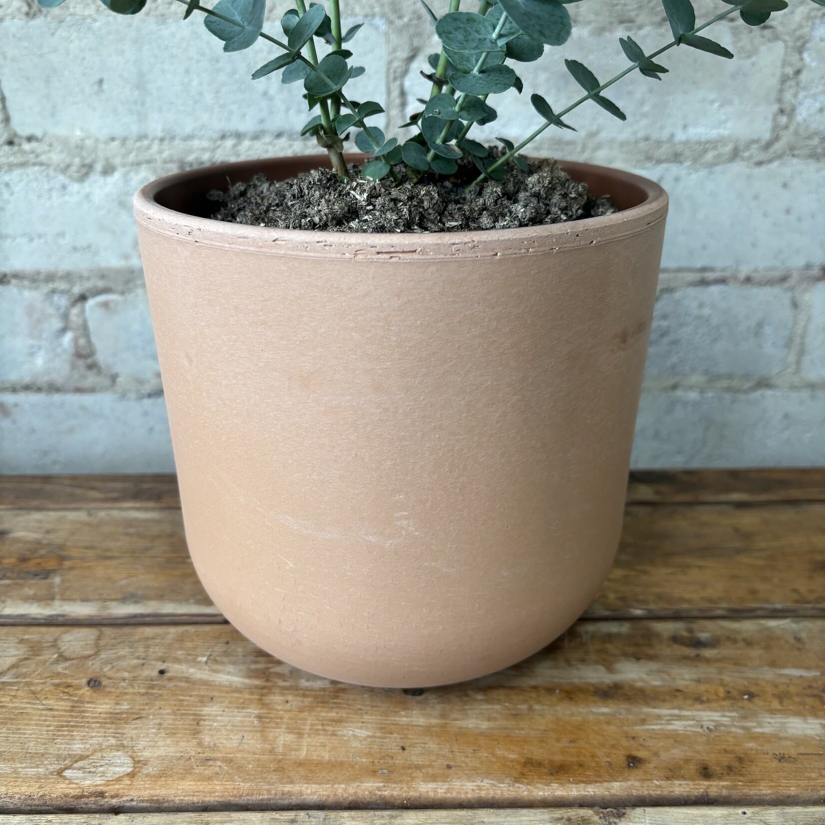 La Natura (fits 6") Rosso