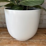 Tusca Pot (Fits 10") Matte White