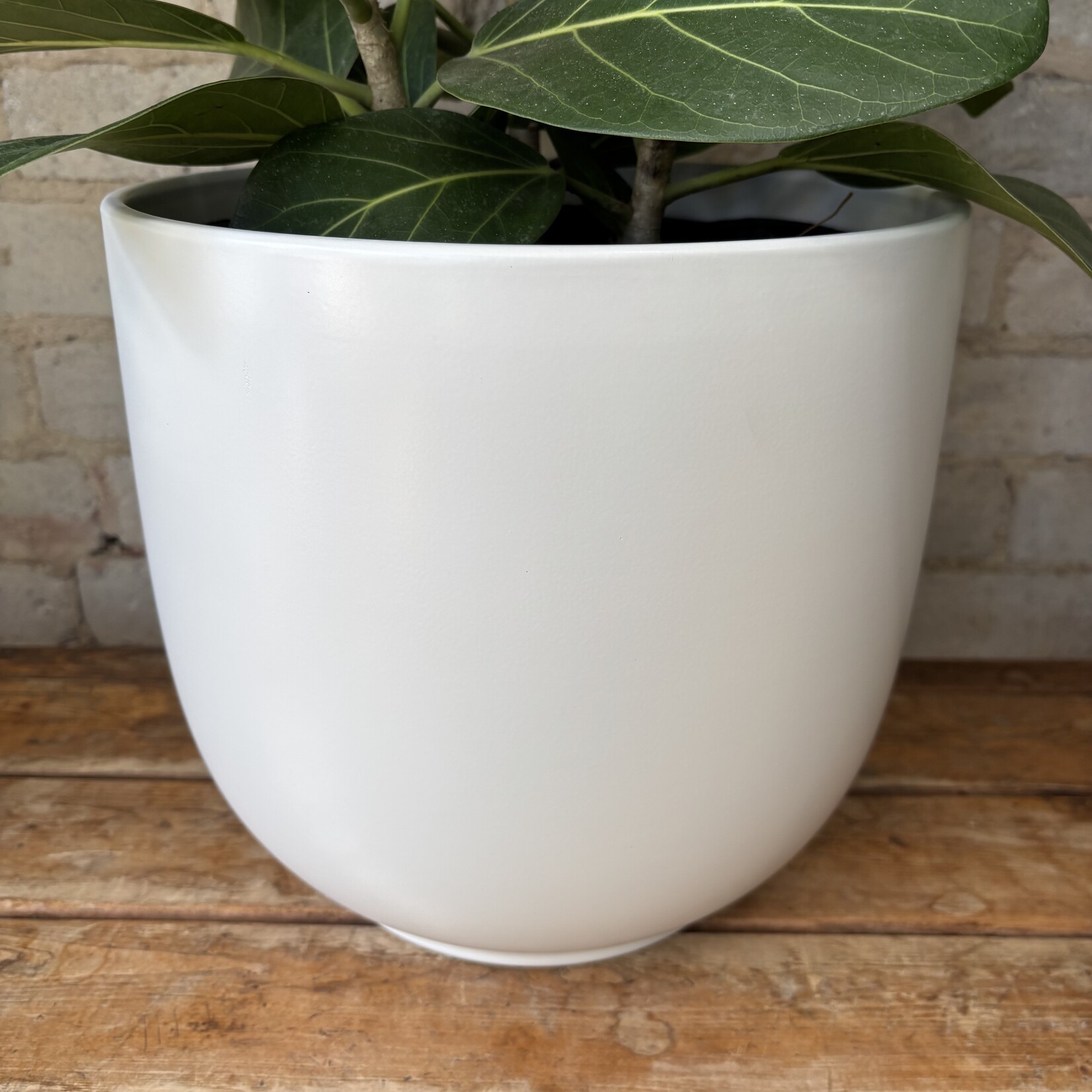 Tusca Pot (Fits 10") Matte White