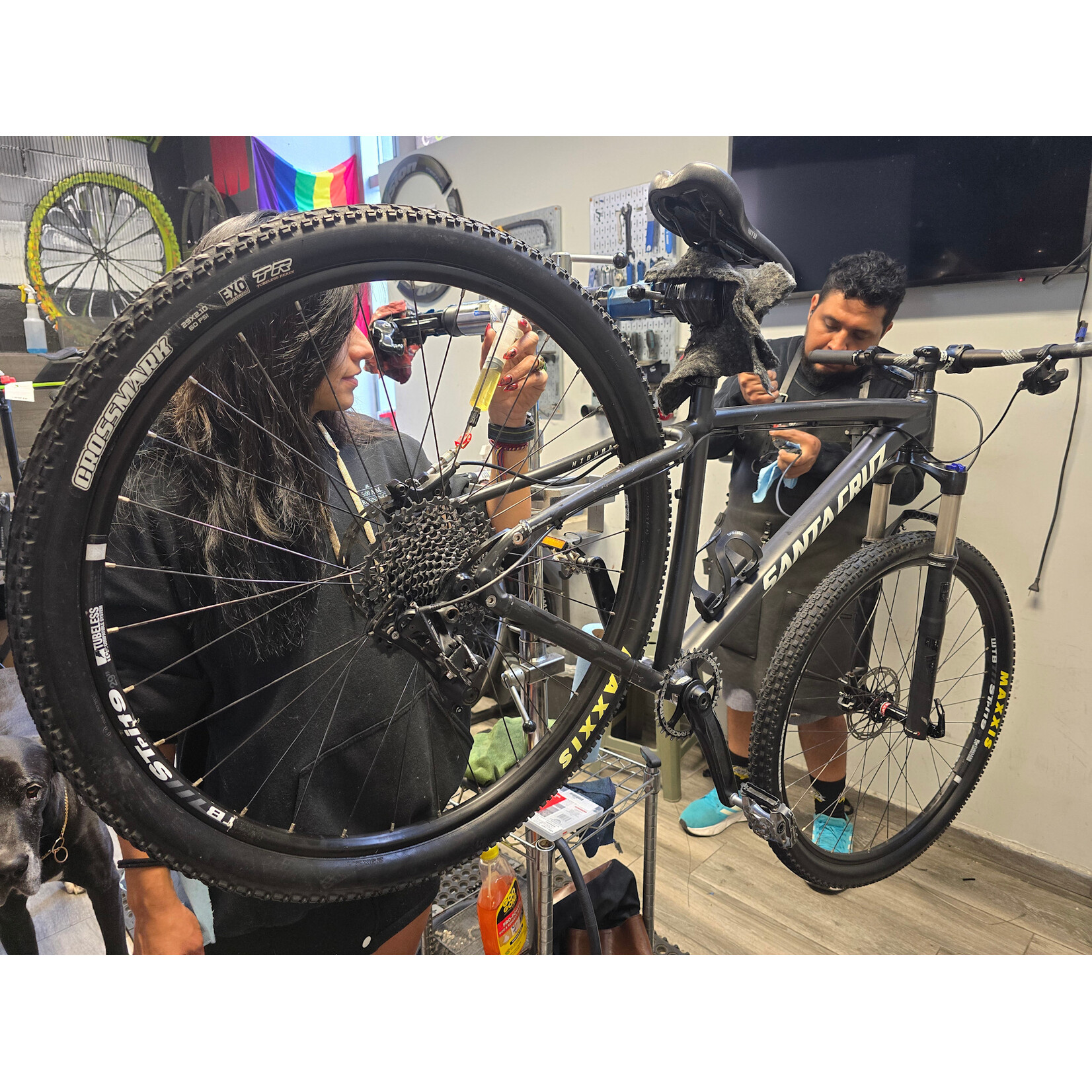 XPERT BIKE Servicio completo MTB (1 Suspensión)