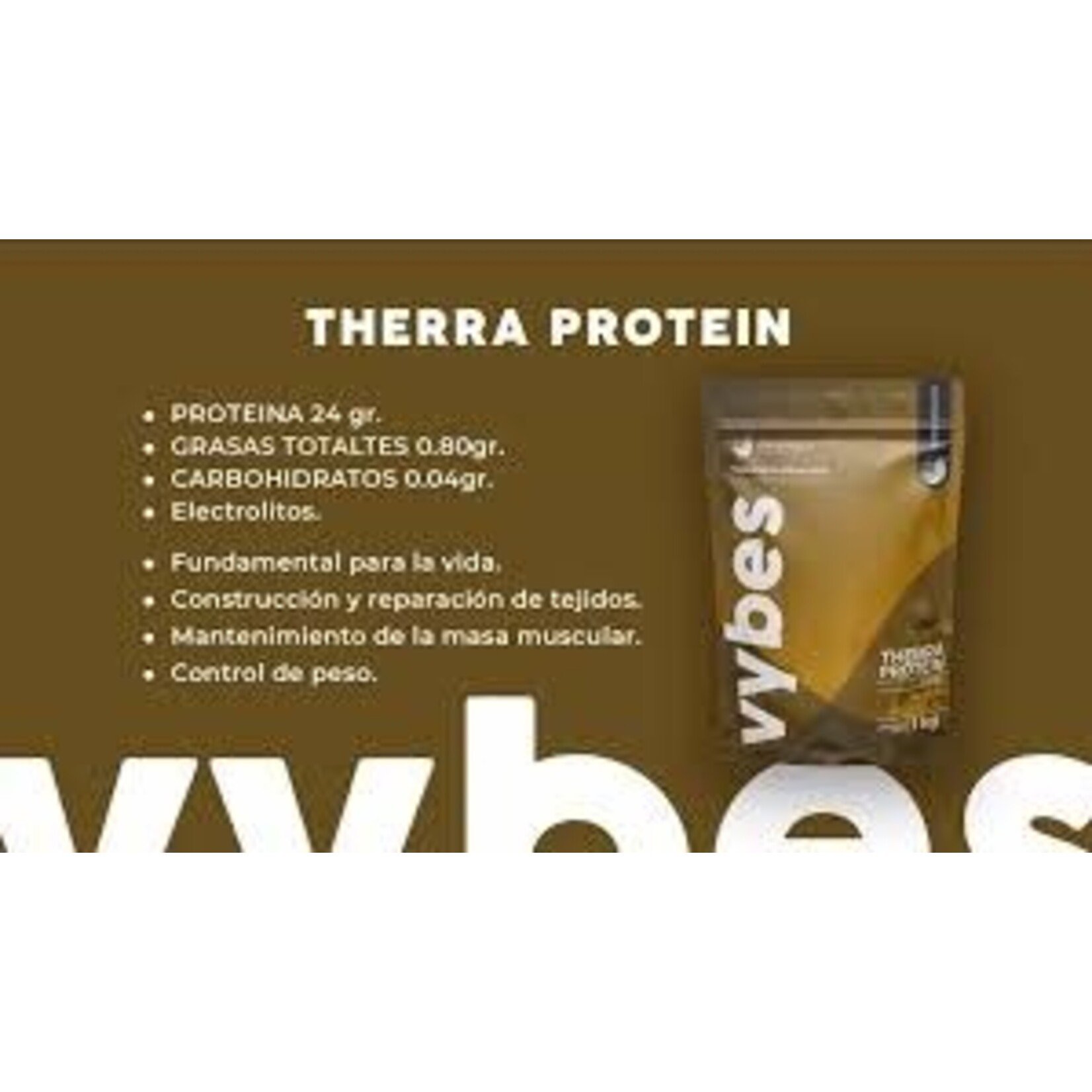 ISMERELY Therra Protein 1k. Sabor Bliss Vainilla.