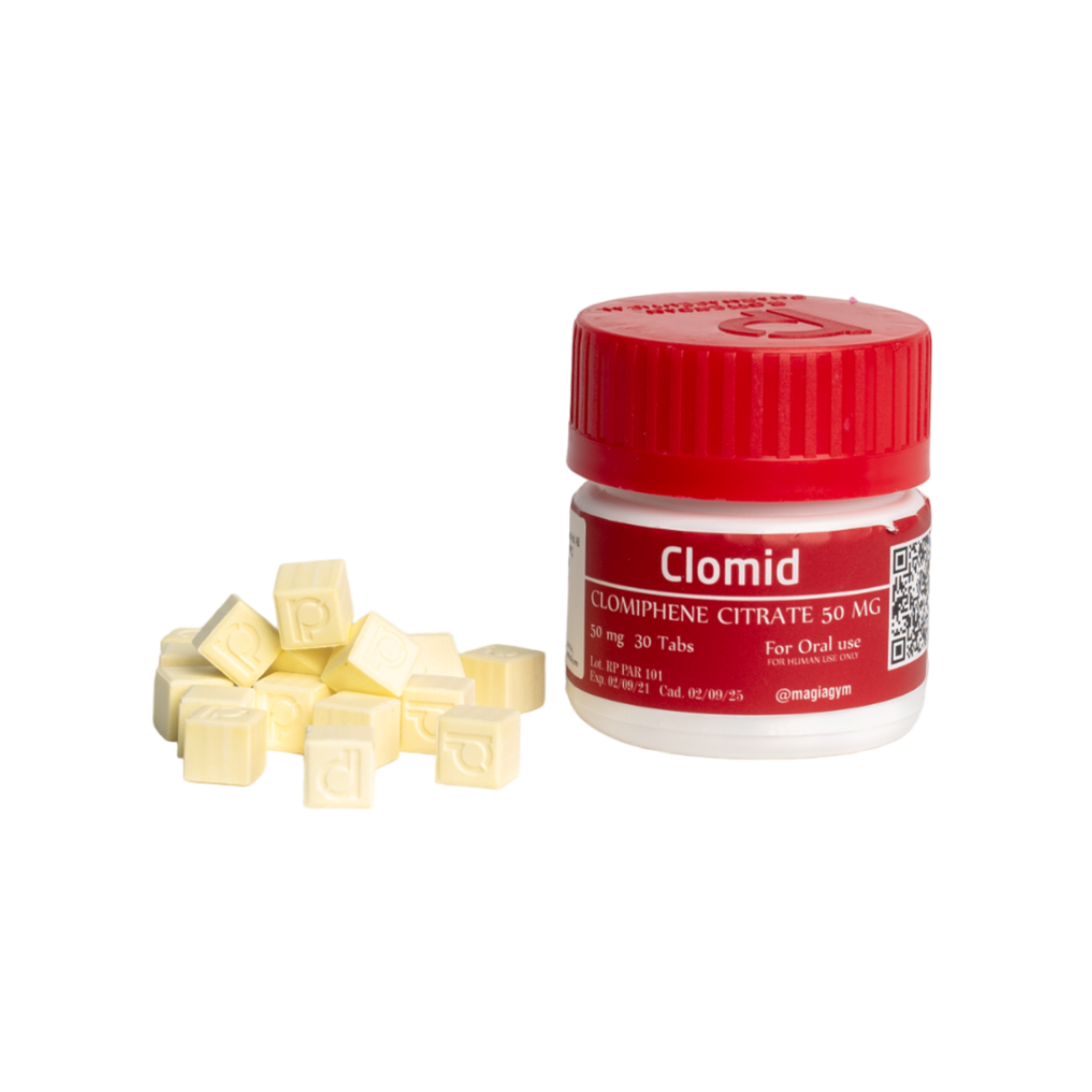 ROTTERDAM CLOMID ROTTERDAM