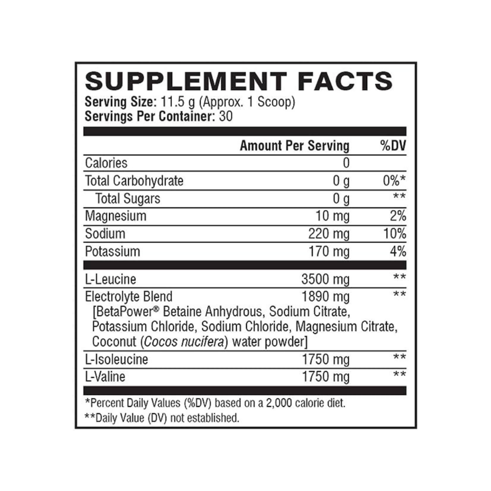 SCIVATION XTEND 30SV SCIVATION