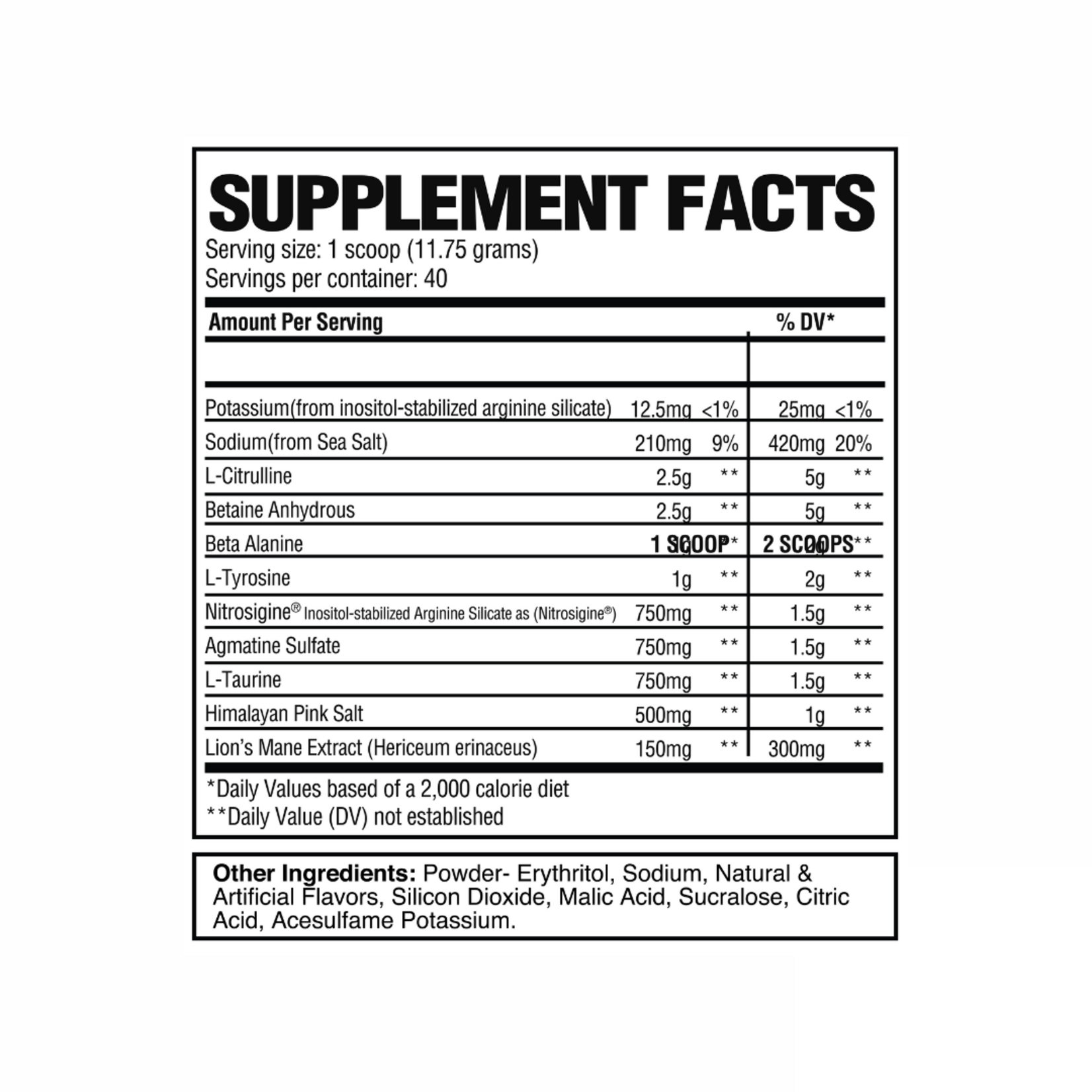RAW PUMP 40/20SV RAW