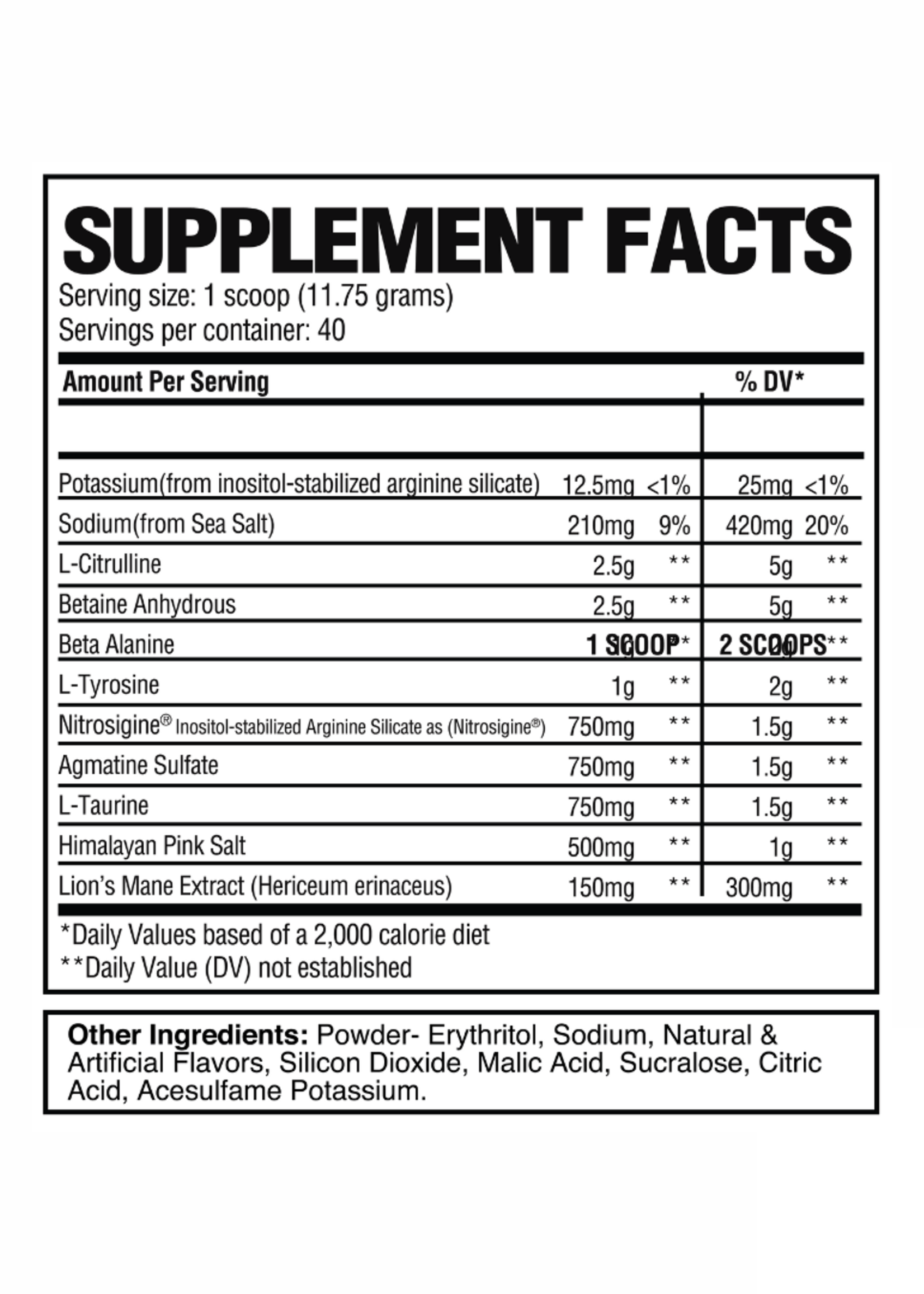 RAW PUMP 40/20SV RAW