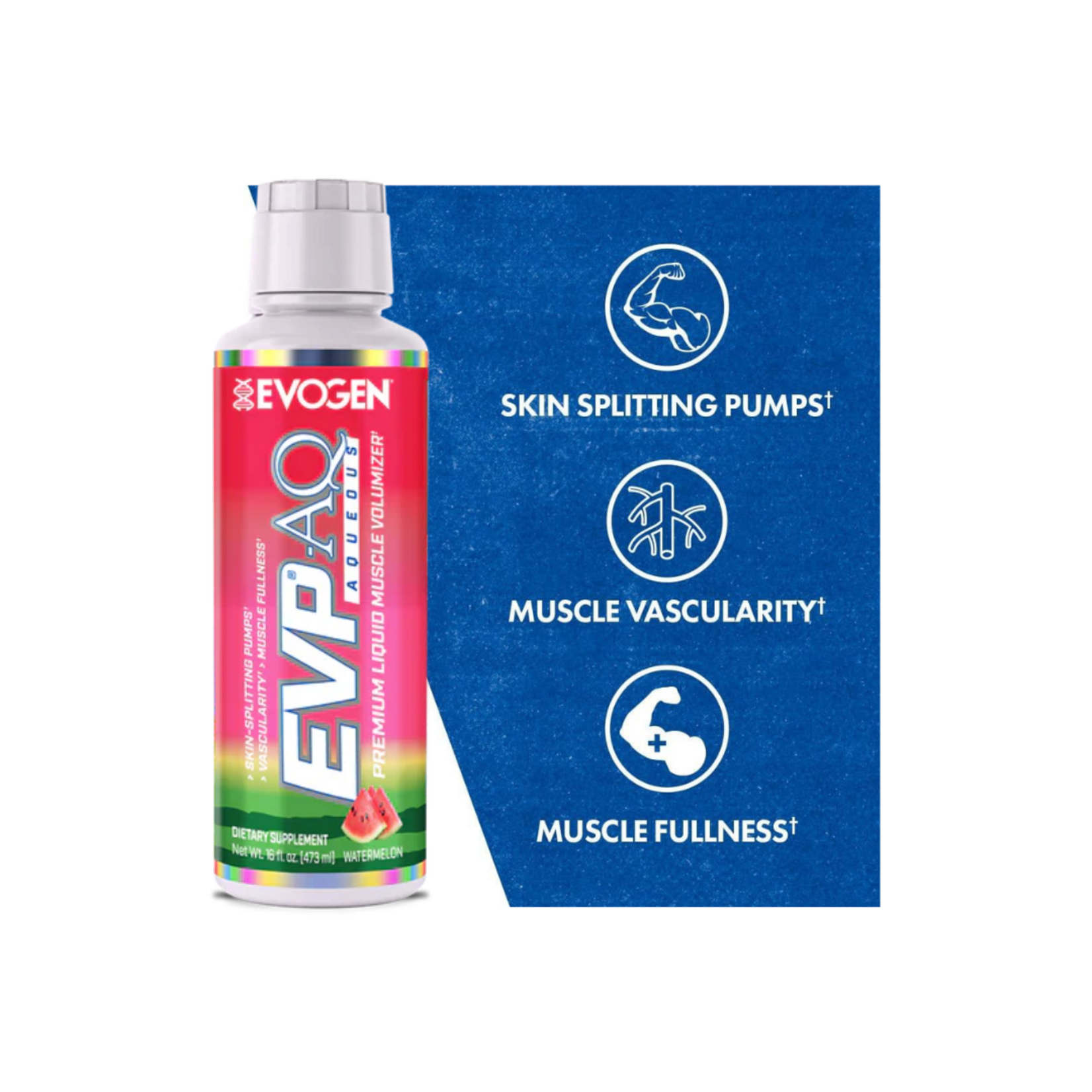 EVOGEN EVP AQ LIQUID 16OZ EVOGEN