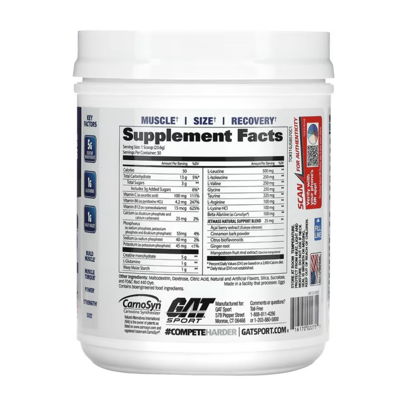 GAT JETMASS CREATINA GAT 30SV