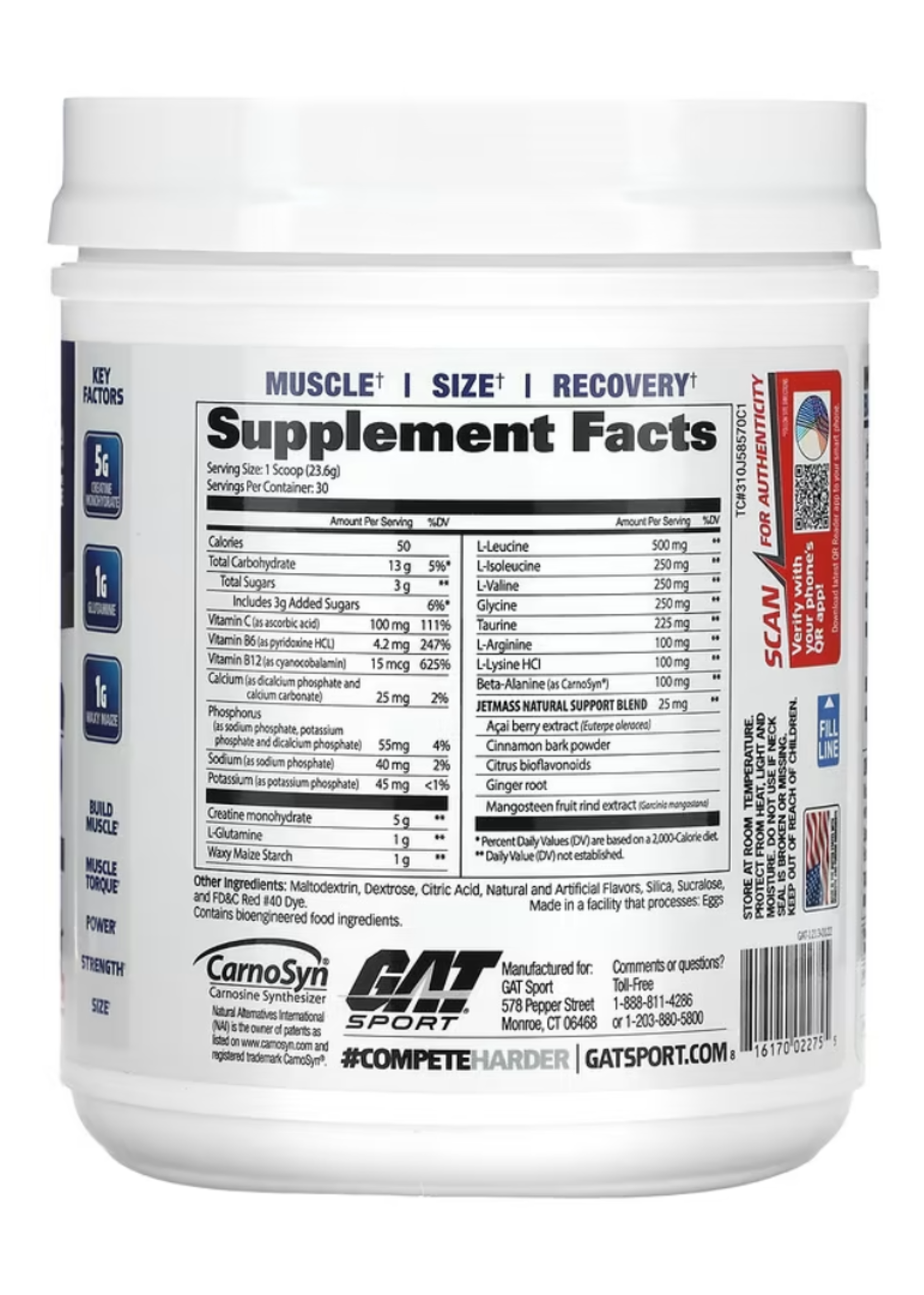 GAT JETMASS CREATINA GAT 30SV