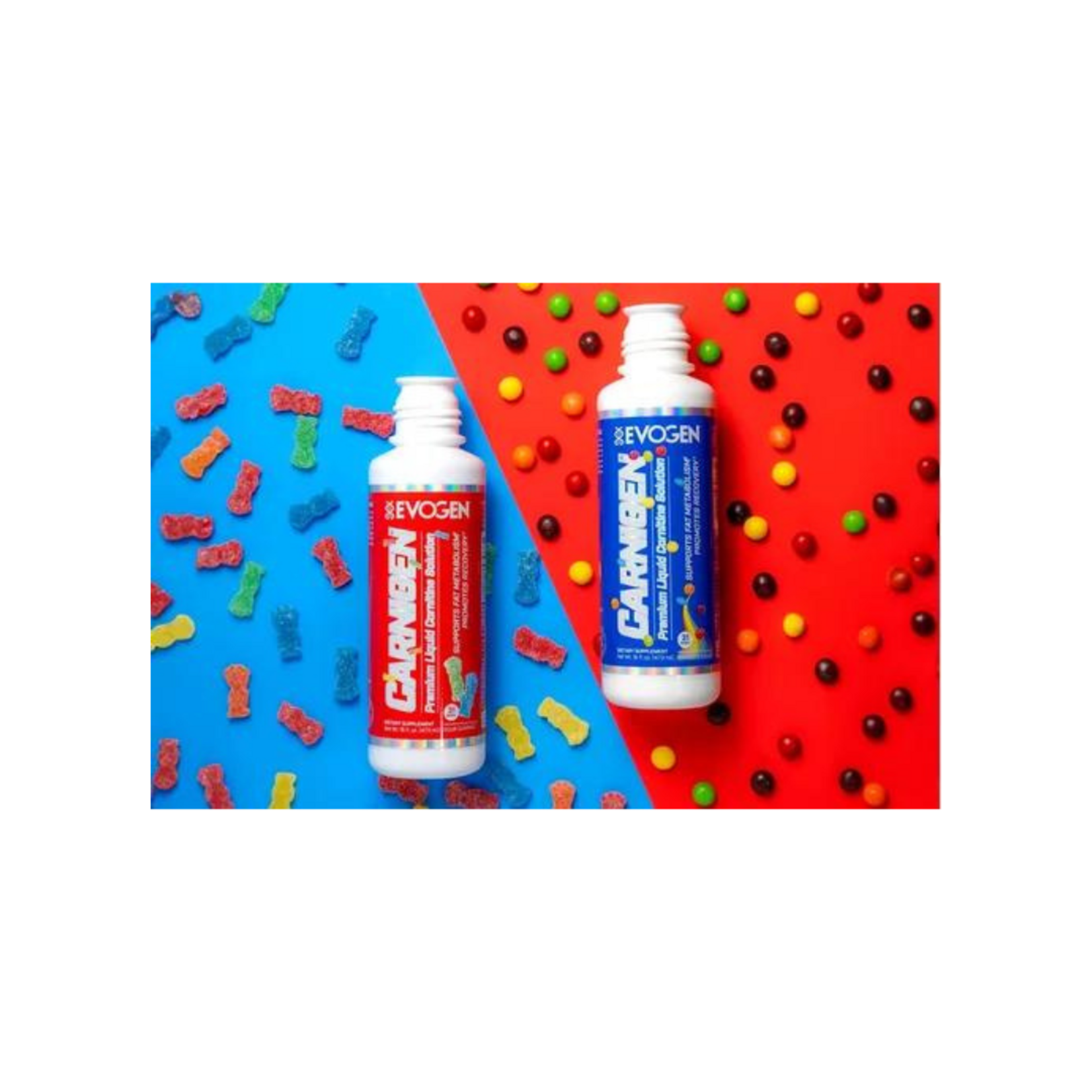 EVOGEN CARNIGEN LIQUIDO EVOGEN 31SV