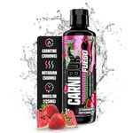 NUTREX CARNIBURN LIQUID CARNITINE NUTREX 3000MG 31SV
