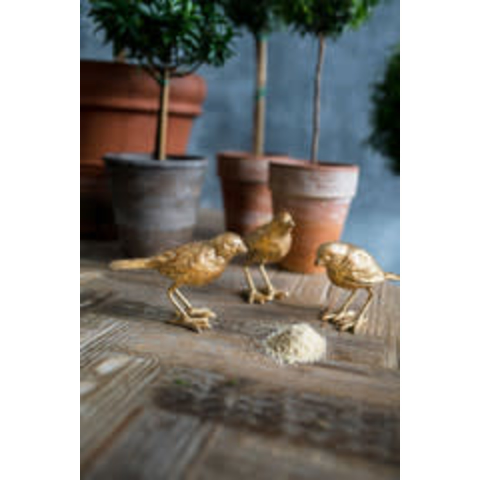 Vagabond Vintage Iron Gold Leaf Birds