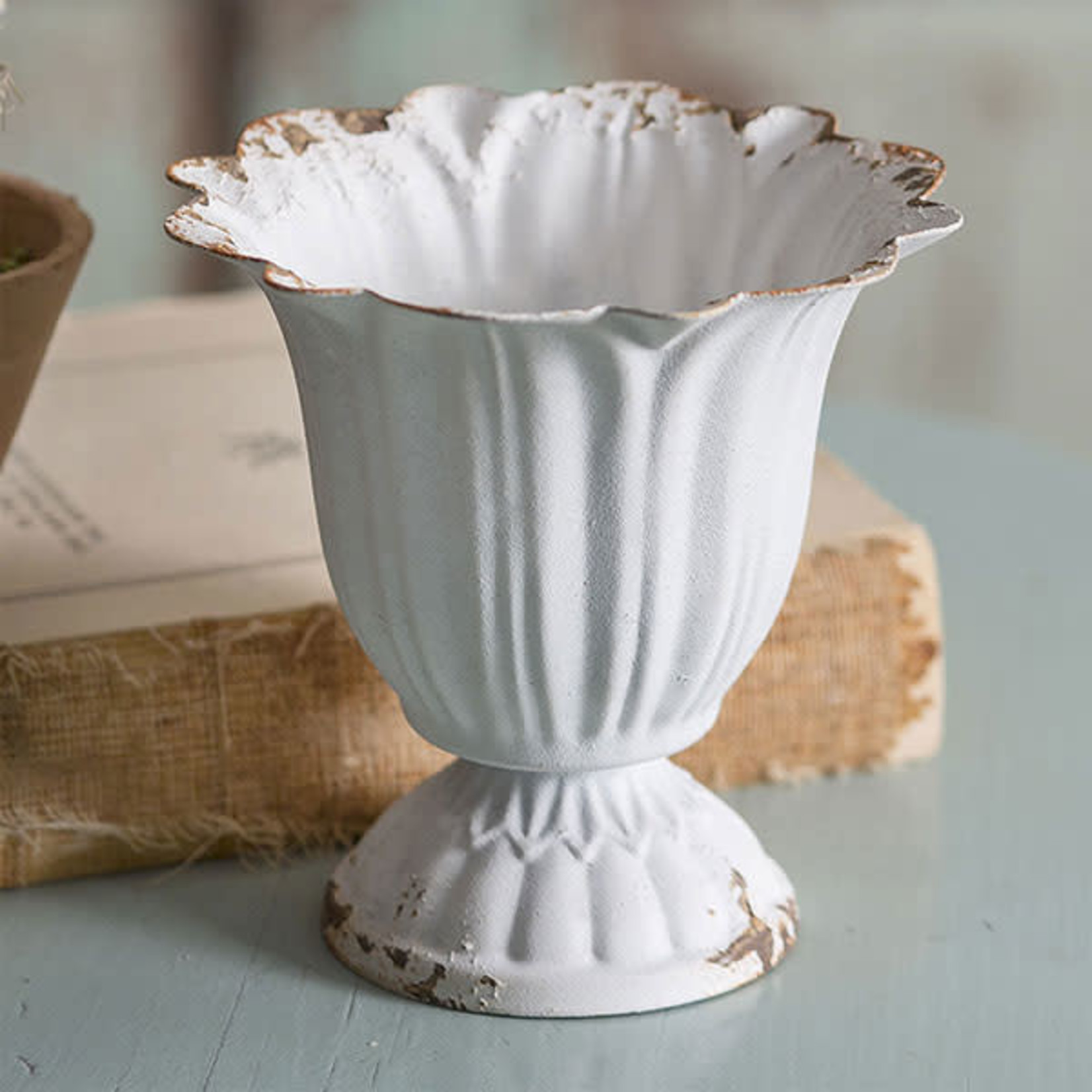 CTW Small Scalloped Cup
