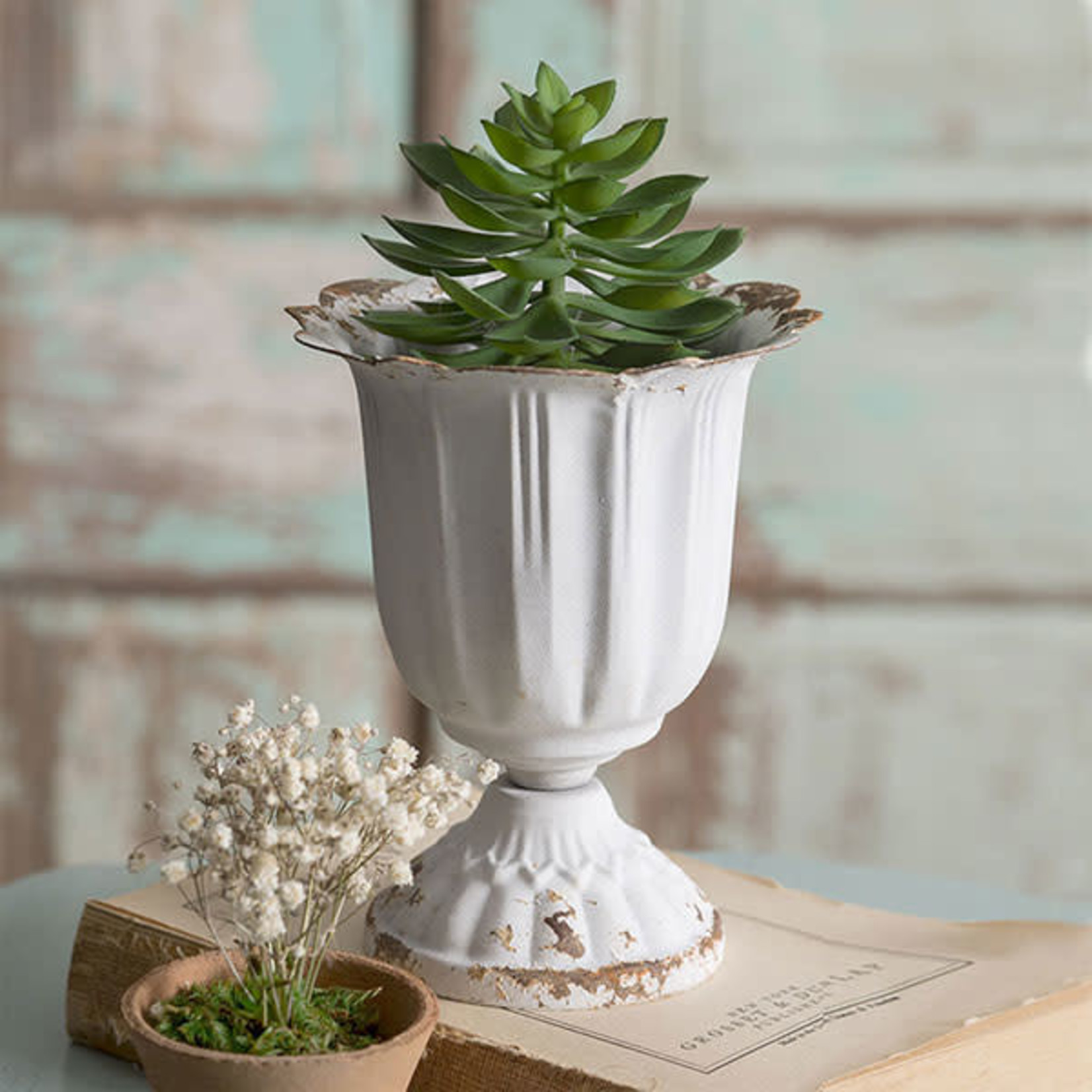 CTW Tall Scalloped Cup