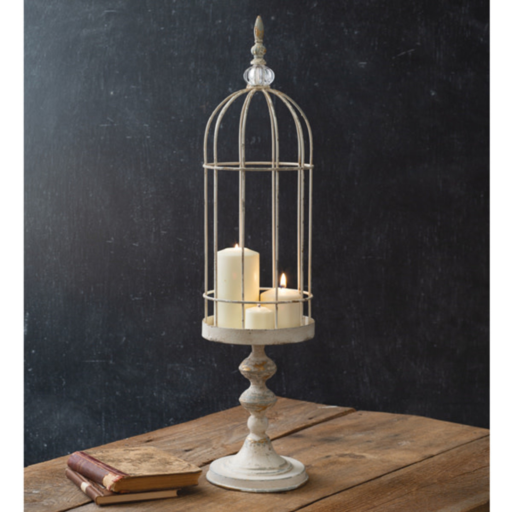 CTW Tall Wire Cloche with Stand