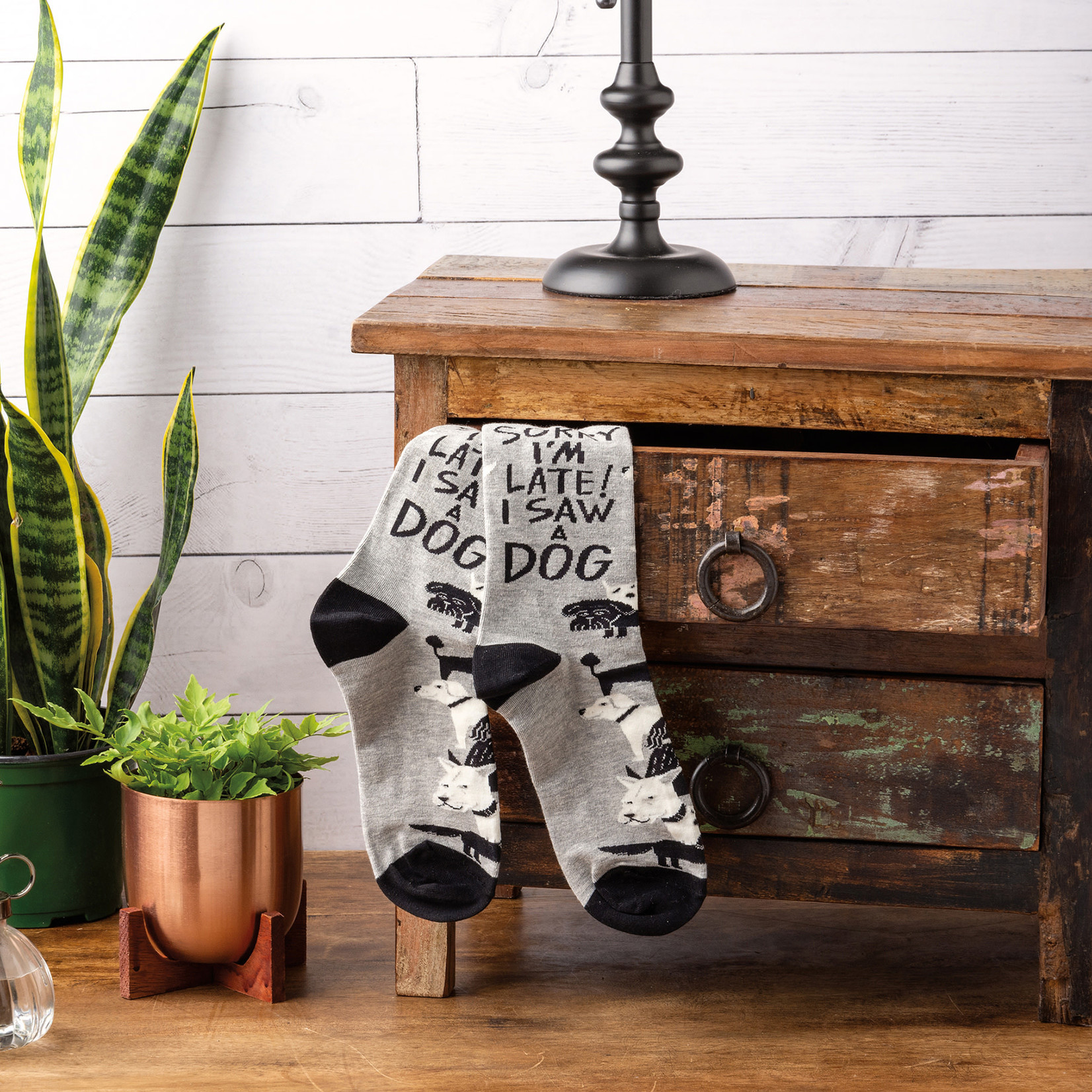 Prim By Kathy Socks - Saw A Dog