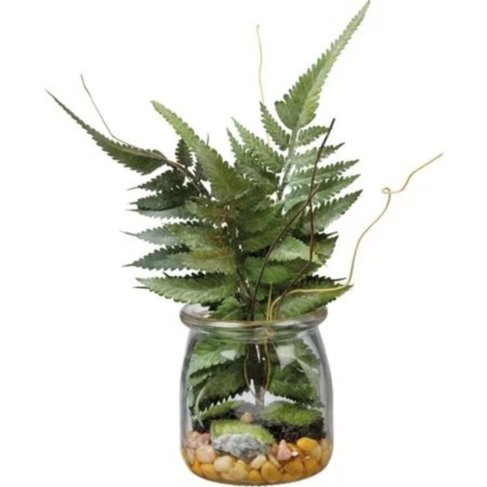Prim By Kathy Jar - Boston Fern