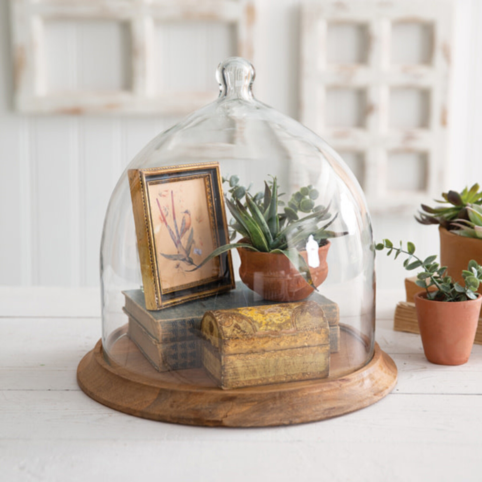 CTW Large Glass Bell Shaped Cloche with Wood Base