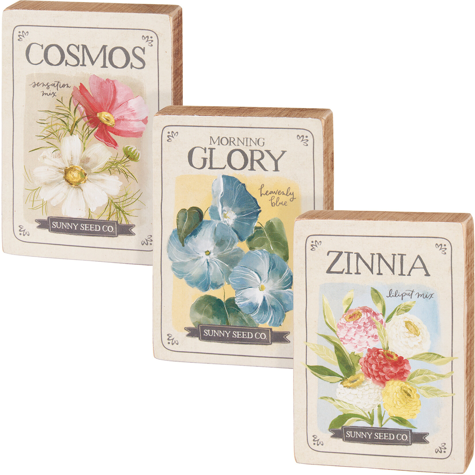 Prim By Kathy Flower Seed Packets Block Sign Set