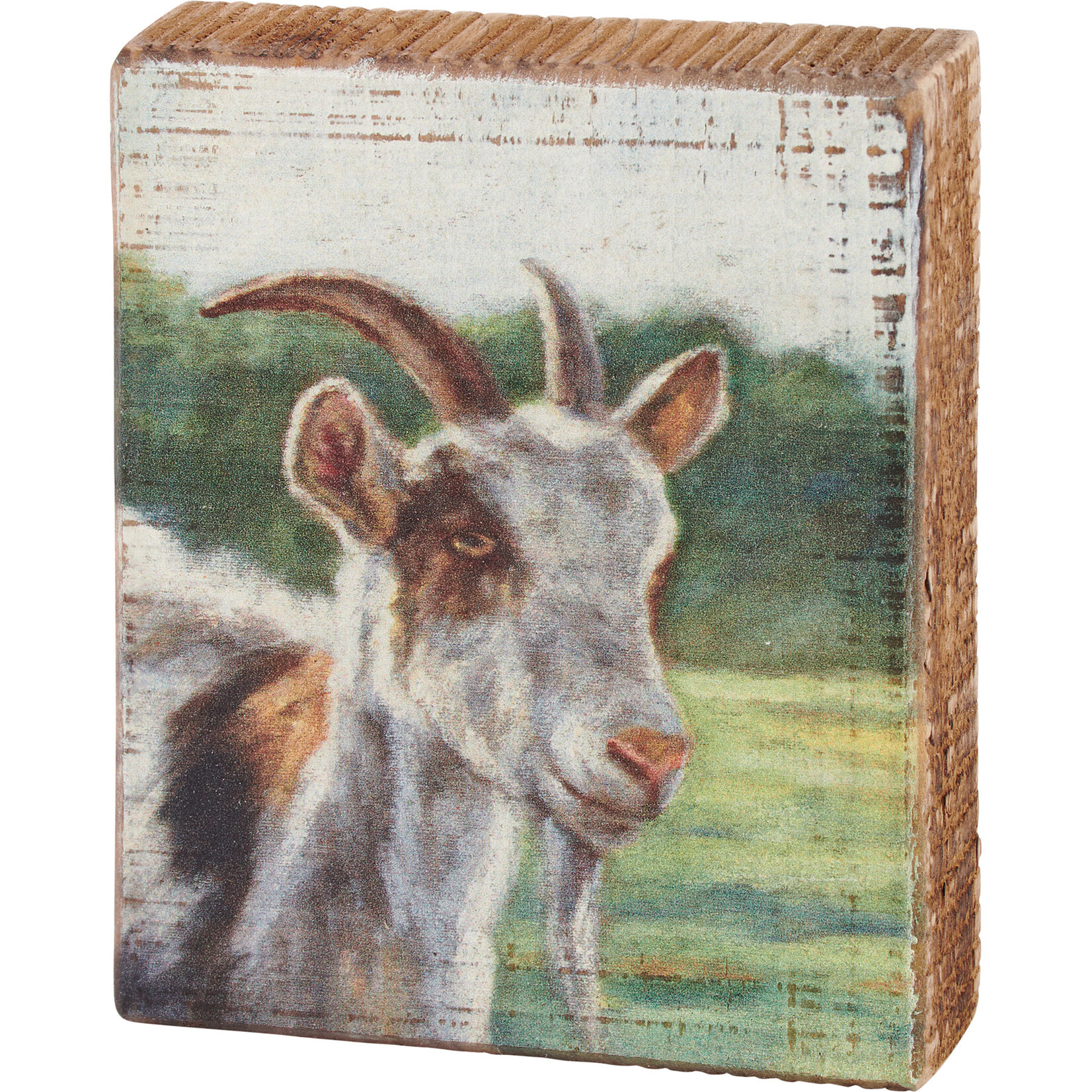 Prim By Kathy Brown And White Goat Block Sign