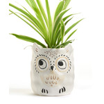 Owl Planter