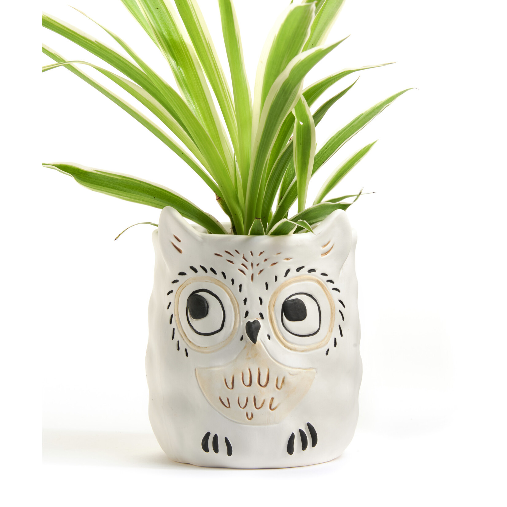 Owl Planter