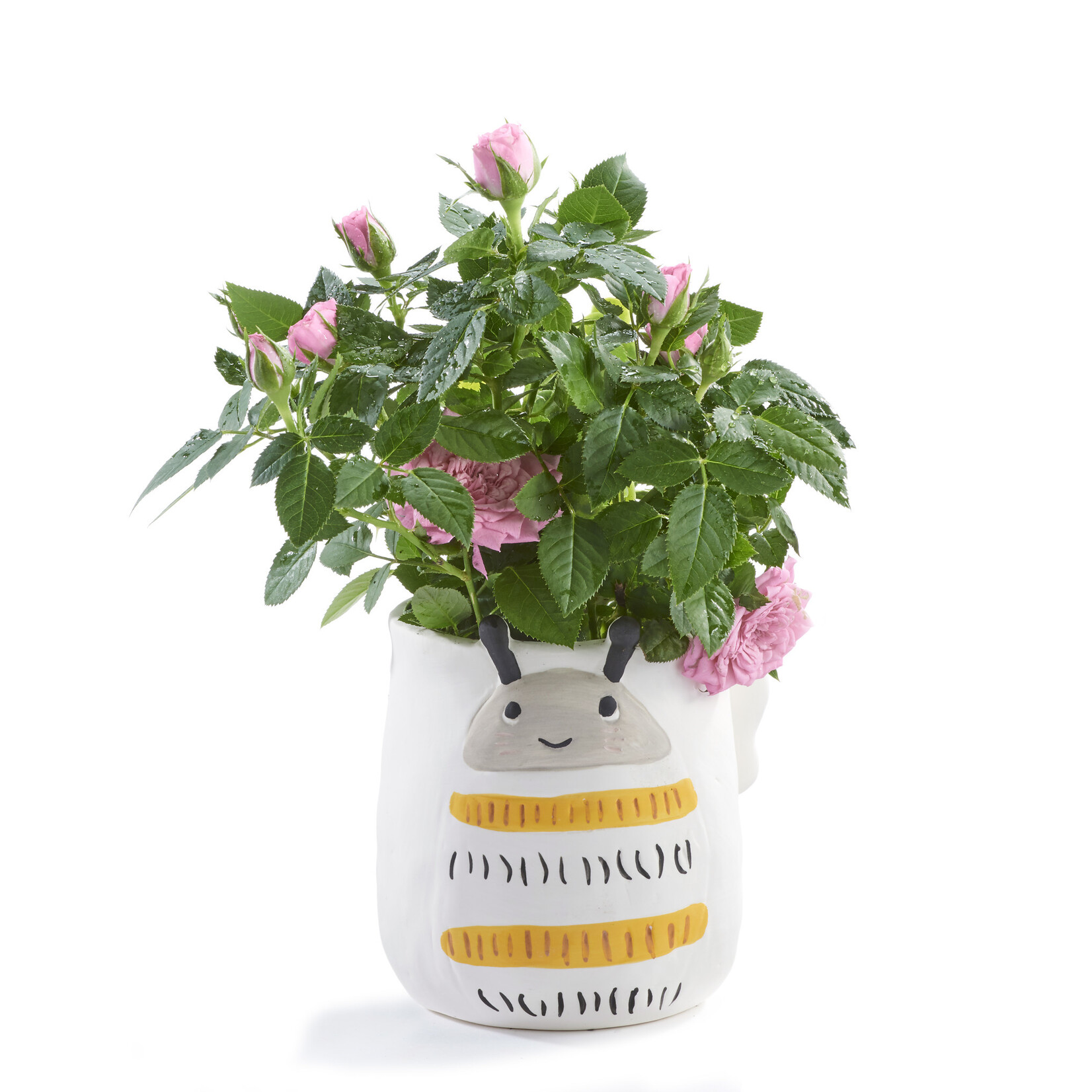 Bee Planter