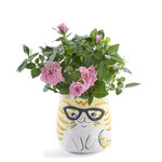 Orange Striped Cat Planter