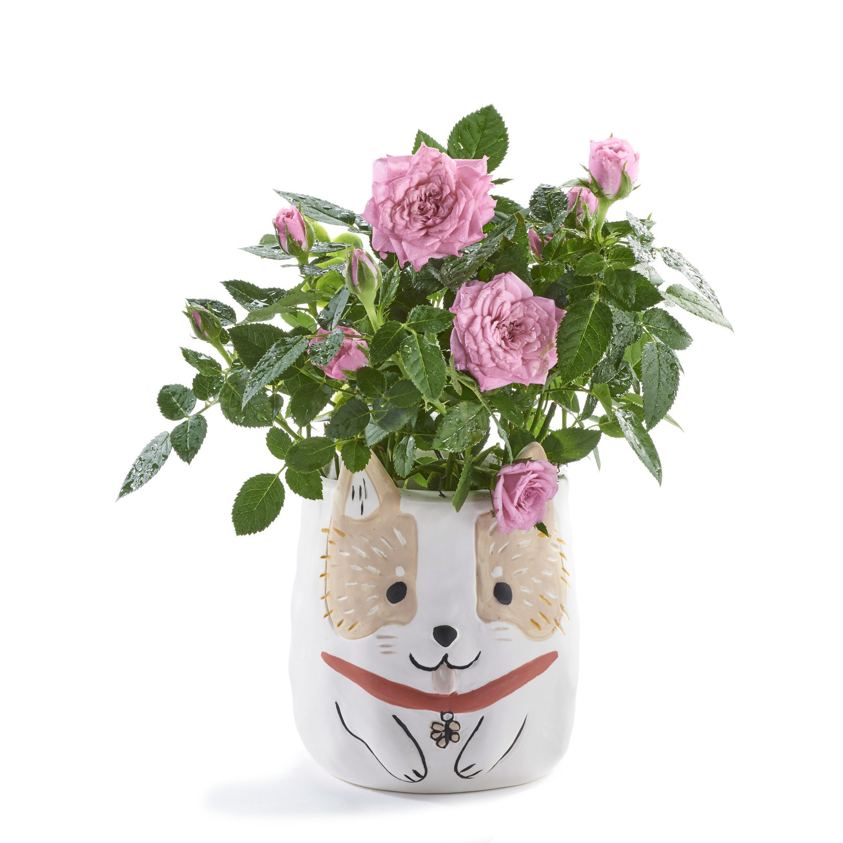 Corgi Planter