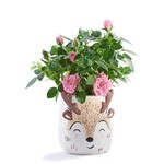 Deer Planter