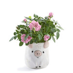 Pig Planter Pig Planter