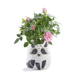 Racoon Planter