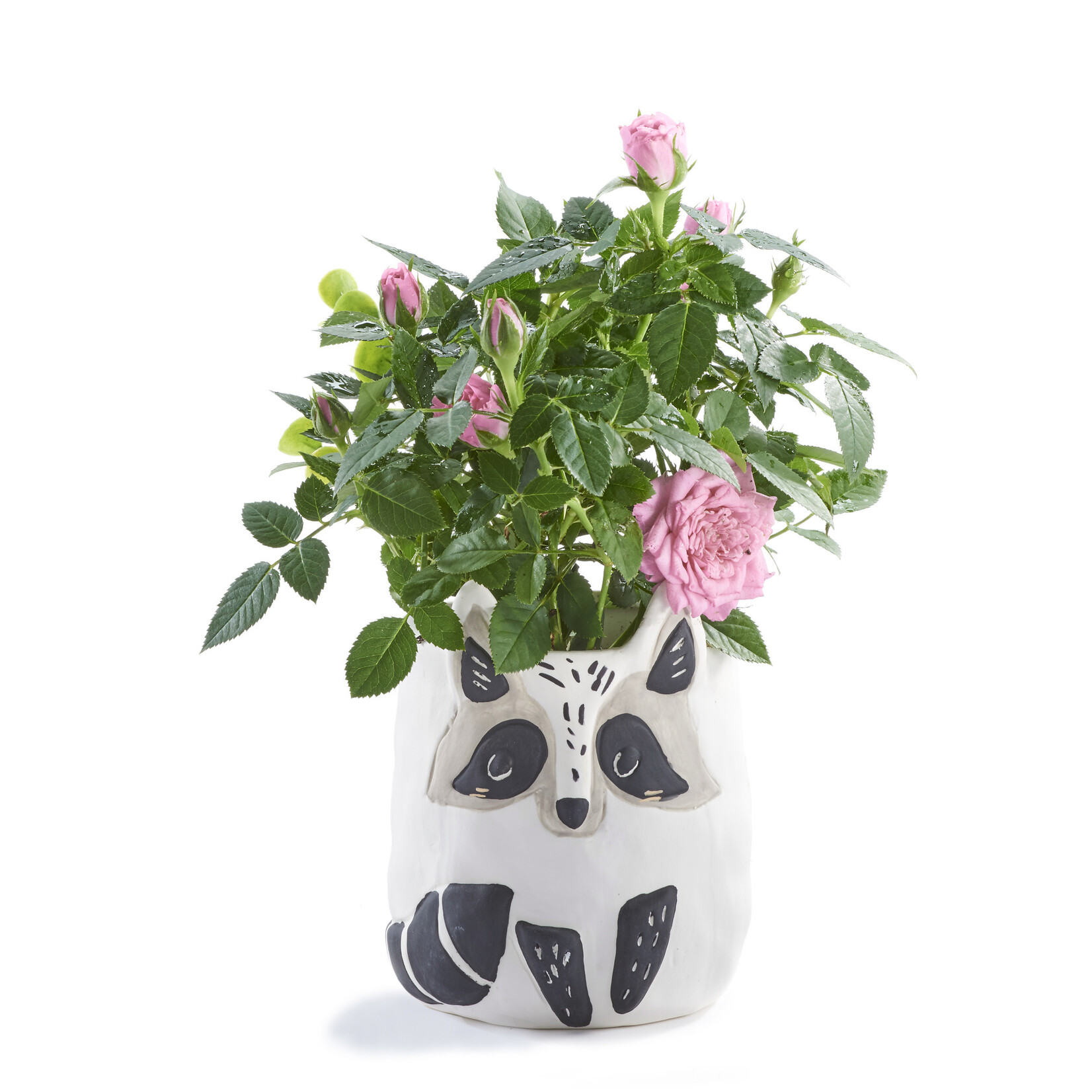 Racoon Planter