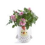 Chicken Planter Chicken Planter