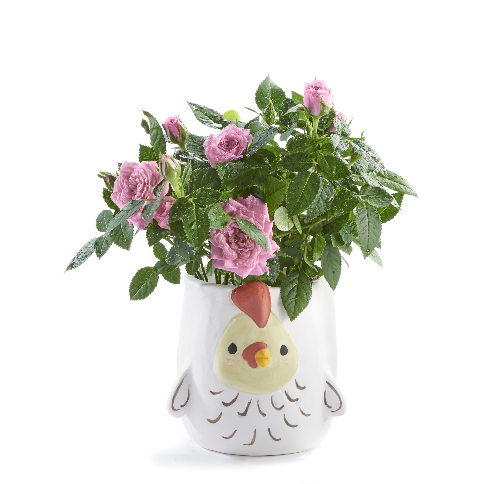 Chicken Planter Chicken Planter