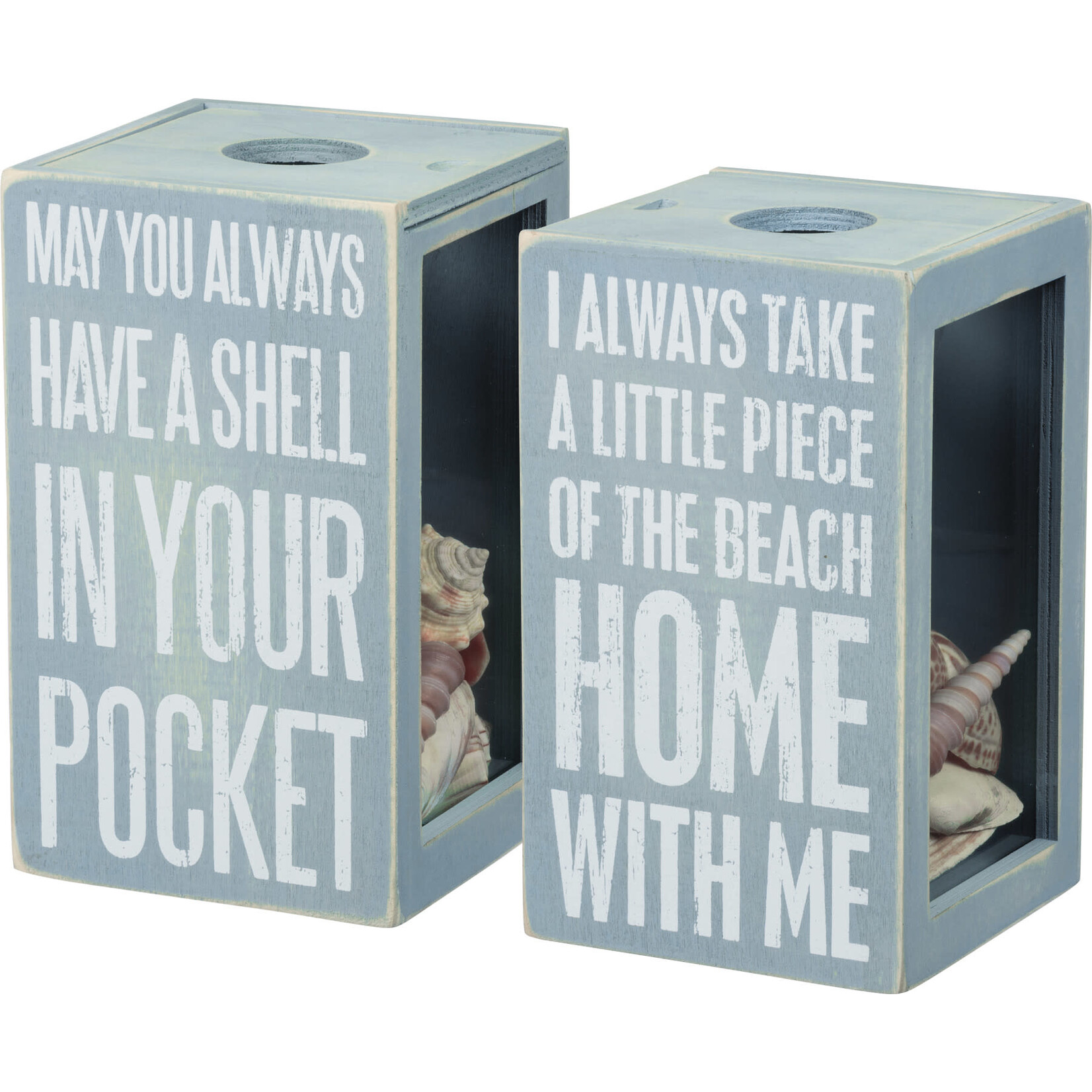 Prim By Kathy May You Always Have A Shell Shell Holder