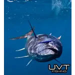 UVT UVT Captain Cory's Tuna Jig