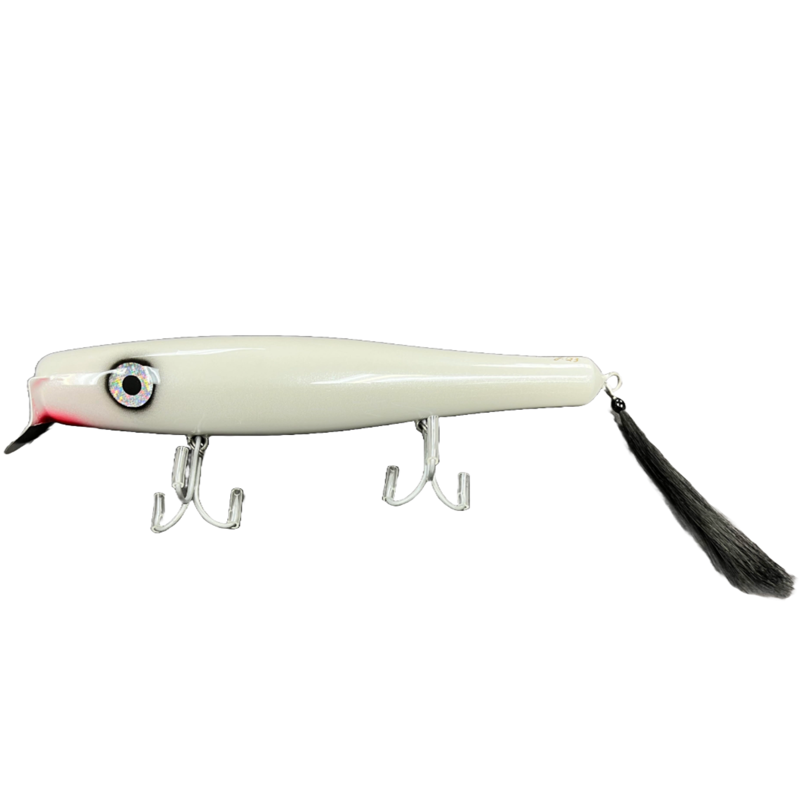 Salty C's 8" Danny