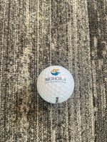 Bighorn Logo Pinnacle Golf Ball Single