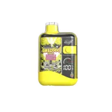 [FED] Smash SH13000 Disposable