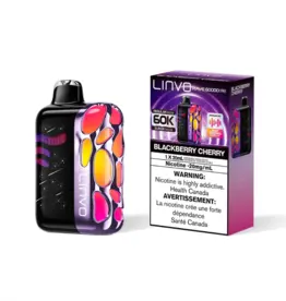 Linvo Rave 60000 Pro Disposable