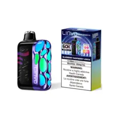 Linvo Rave 60000 Pro Disposable