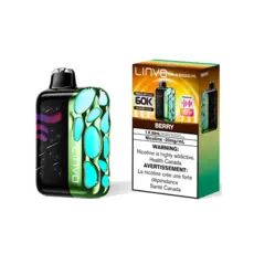 Linvo Rave 60000 Pro Disposable