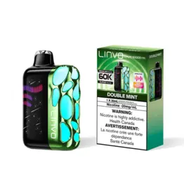 Linvo Rave 60000 Pro Disposable