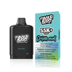 Flavour Burst Burst X 55K Disposable