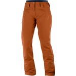 Salomon SALOMON QST SNOW PANT WMS UMBER SM