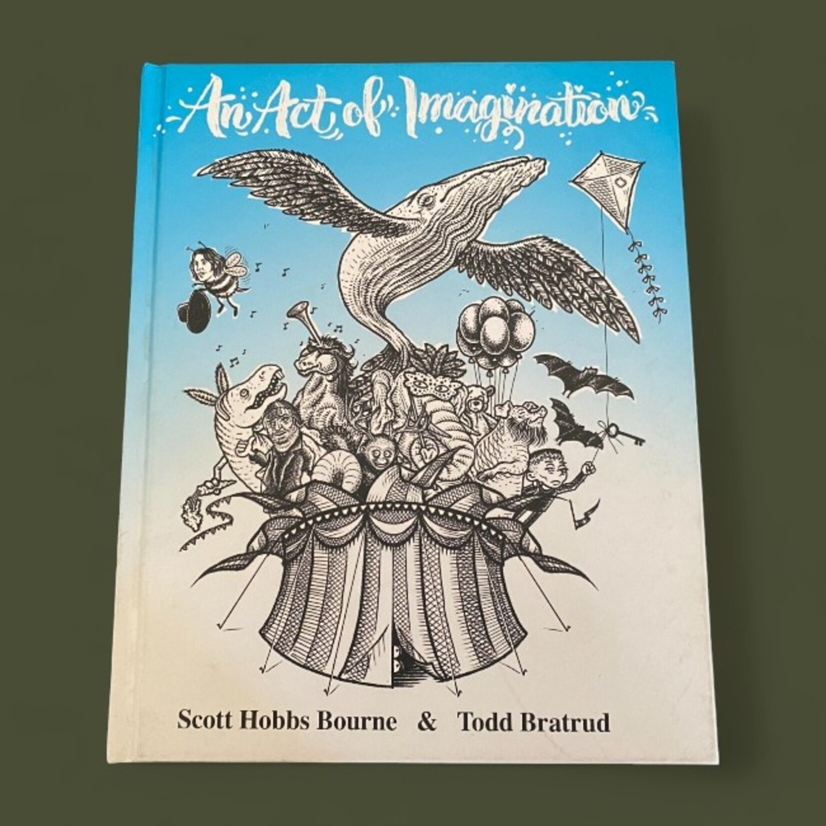 An Act of Imagination Book