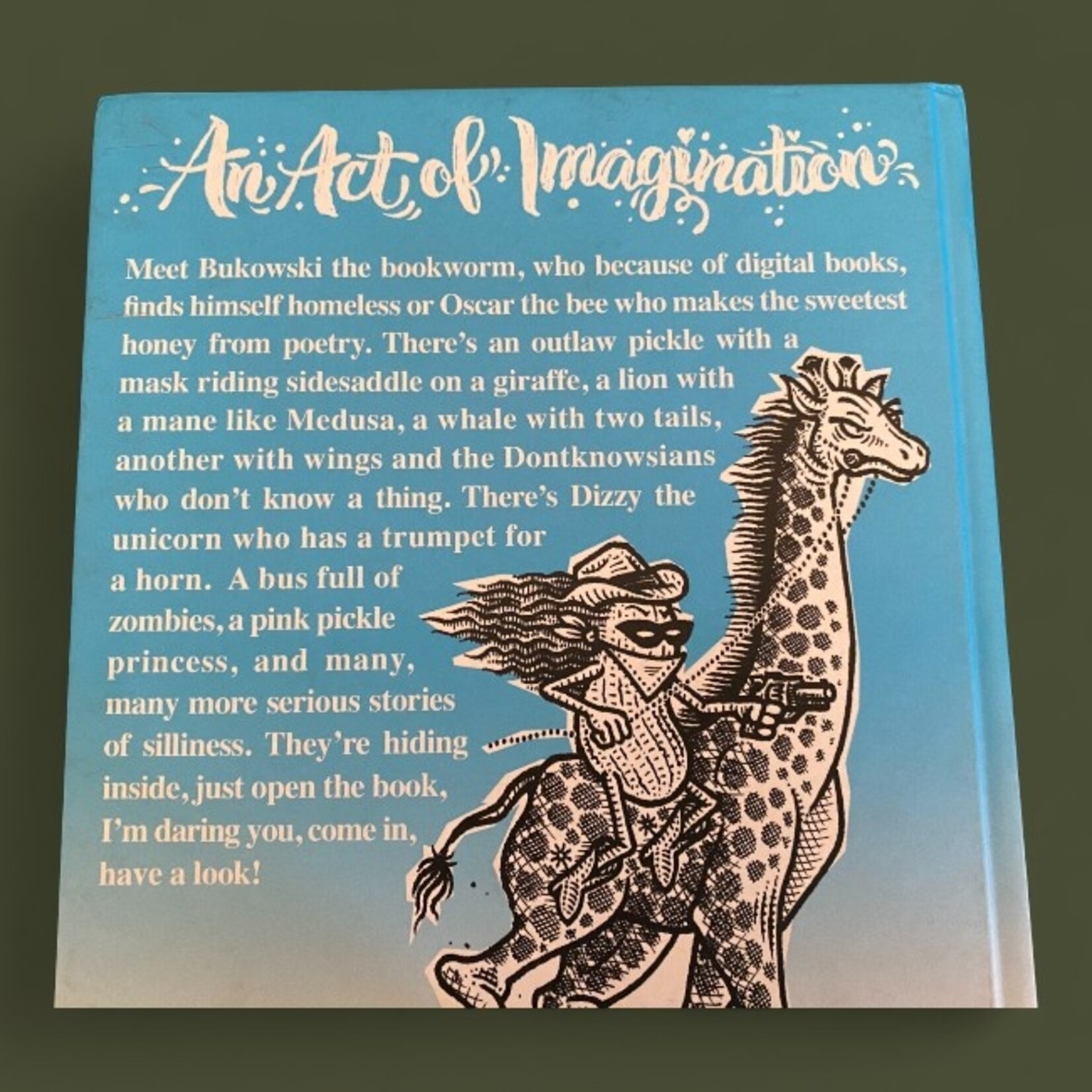 An Act of Imagination Book
